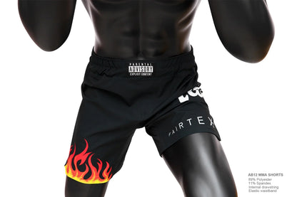 Fairtex MMA Shorts On Fire