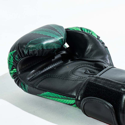 Raja Boxing Gloves Glass