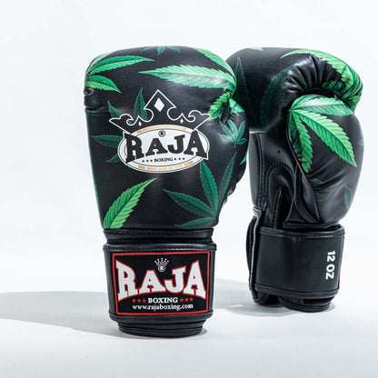 Raja Boxing Gloves Glass